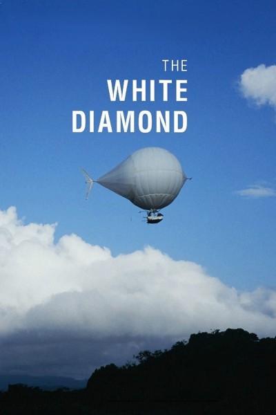 4104 the white diamond