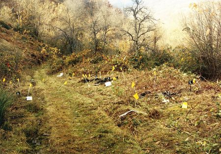 In the hills above Kravica