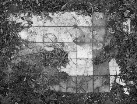 Photo from the project by Dezső Gyarmati Photo from the project by Dezső Gyarmati