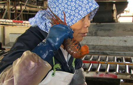 The Reactive Citizen: Screening of Tokyo's Belly, January 20